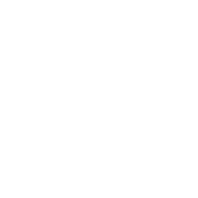 Dutch Water Initiative Logo White